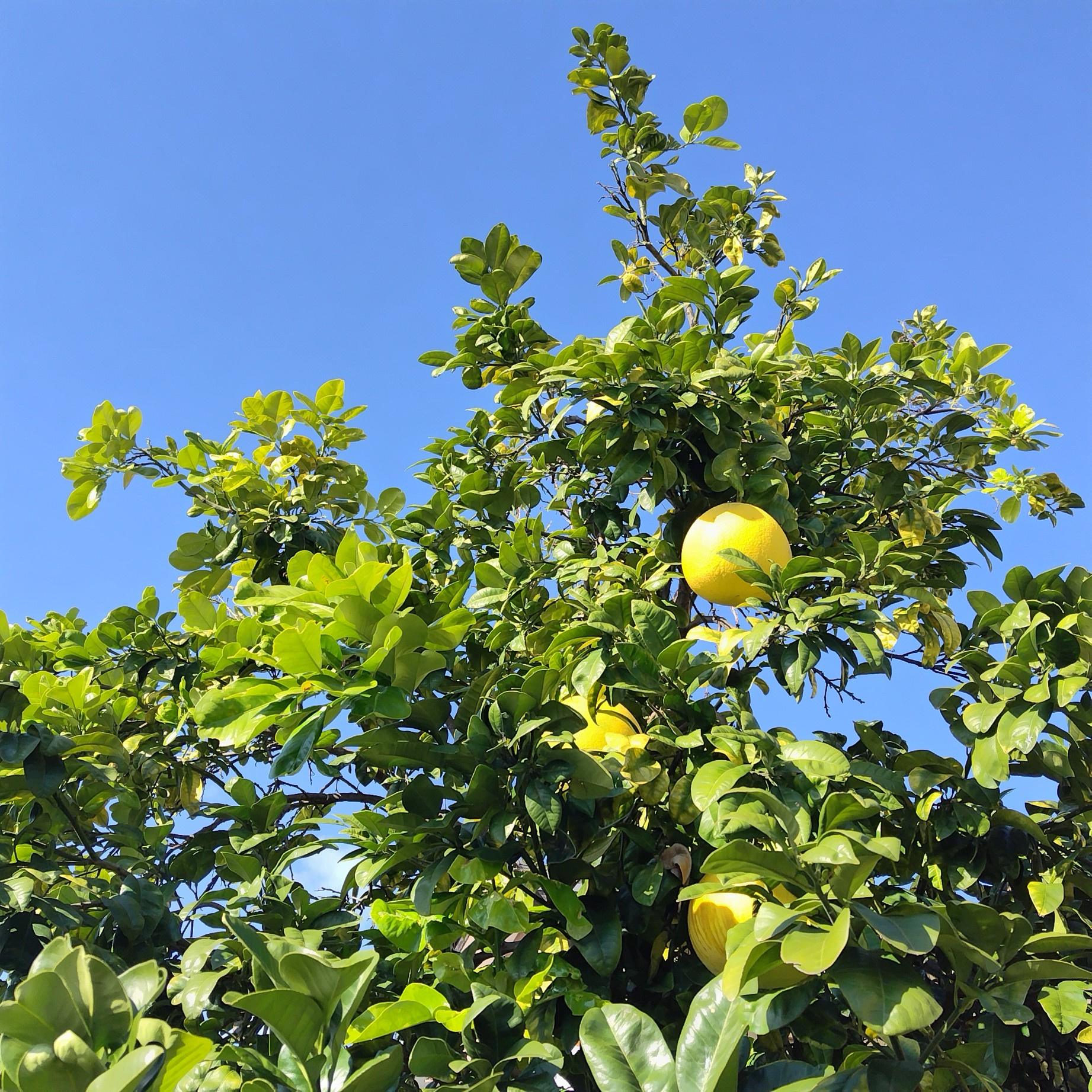美濃善不動産本社賃貸部 年末のご挨拶の画像