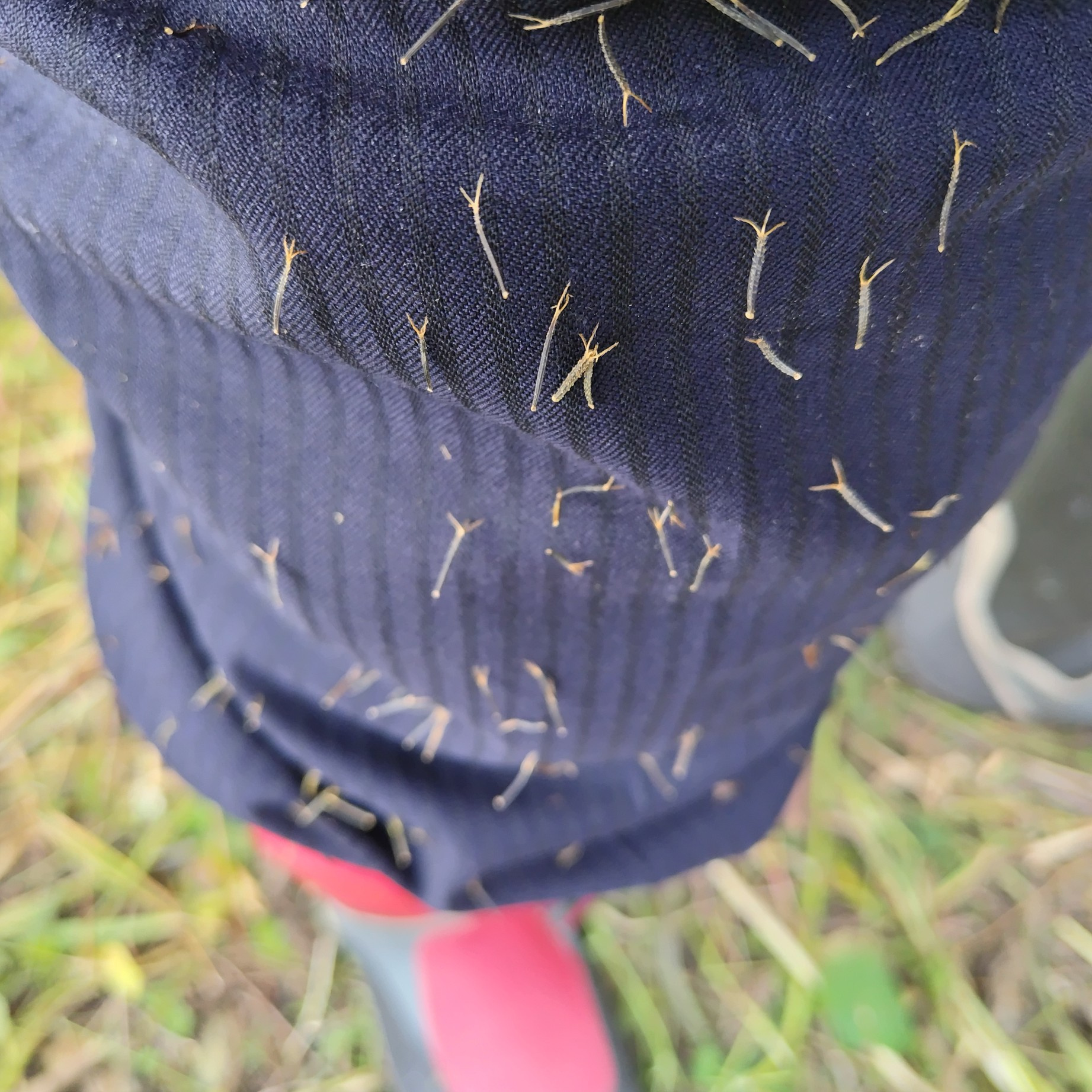 美濃善不動産管理部スタッフから年末のご挨拶の画像