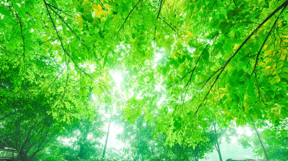 2026年の午年大阪不動産市場はどう動く？過去動向や傾向を詳しく解説の画像