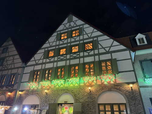  寒さを忘れる美しさ！下野市グリムの森イルミネーションを見てきました！の画像