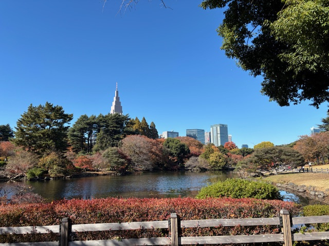 新宿御苑の魅力を知りたい方必見！今の時期のみどころやおすすめポイントも紹介の画像