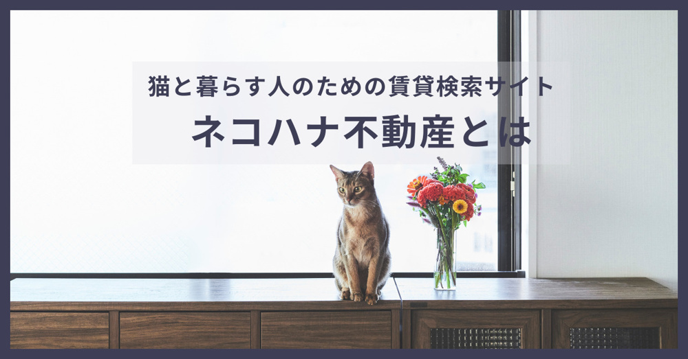 猫と暮らす人のための賃貸検索サイト「ネコハナ不動産」の画像
