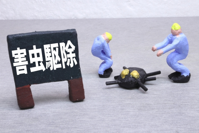 ゴキブリが発生する前にやるべき対策