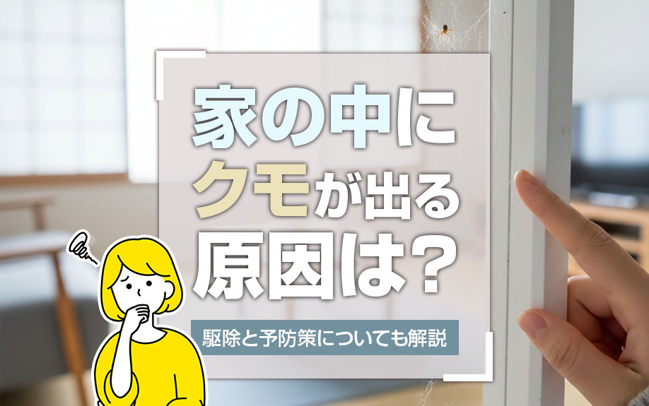 家の中にクモが出る原因は？駆除と予防策についても解説