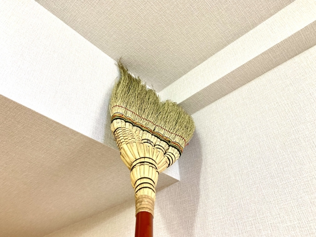 家の中のクモを駆除する方法