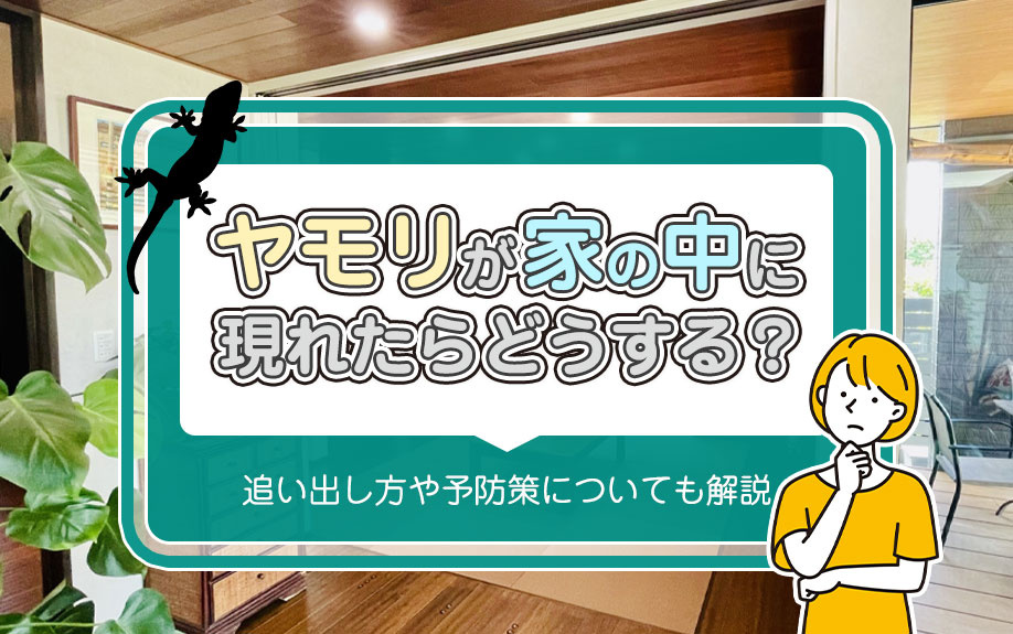 ヤモリが家の中に現れたらどうする？追い出し方や予防策についても解説の画像