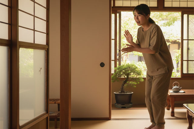 ヤモリを追い出す方法