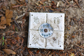 地番と番地の違いはについて！用途や確認方法のポイントも解説の画像