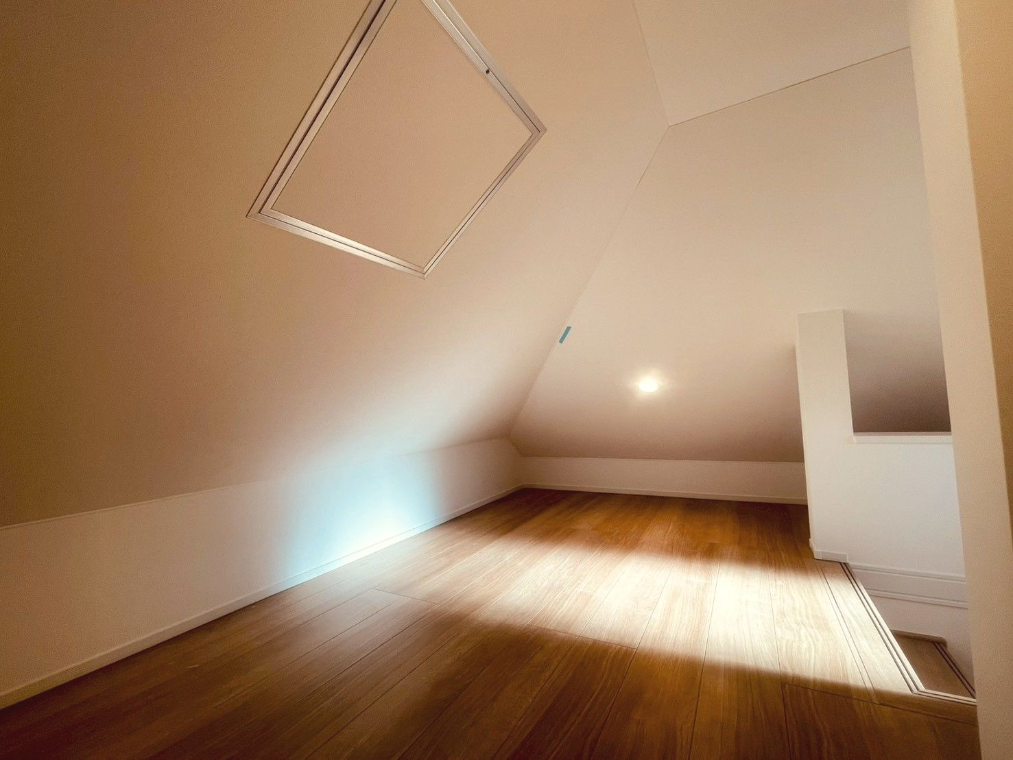 小屋裏収納