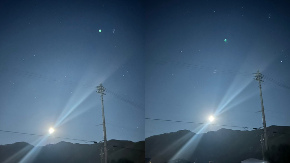 今年最後の…の画像