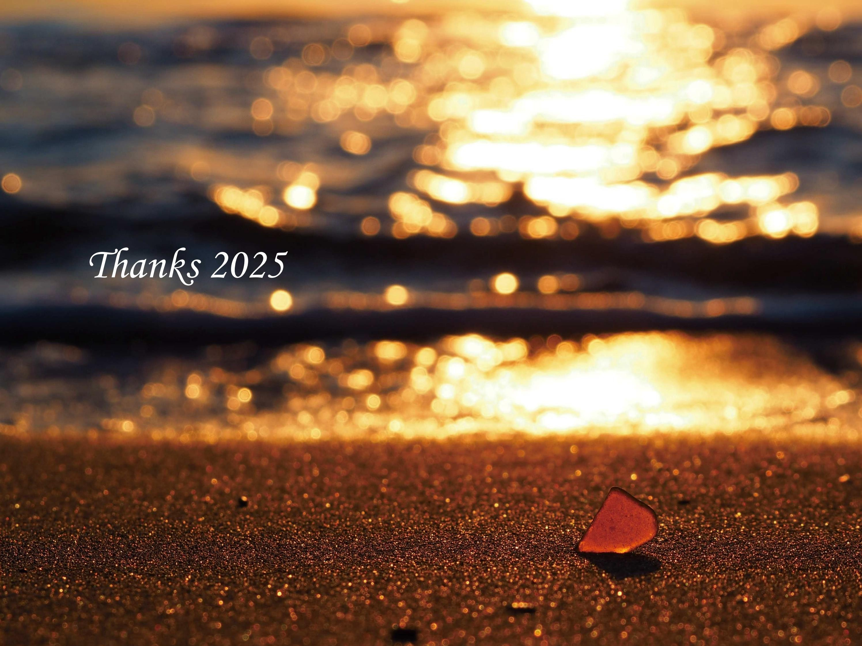 Tanks2025！（2025.12.26）の画像