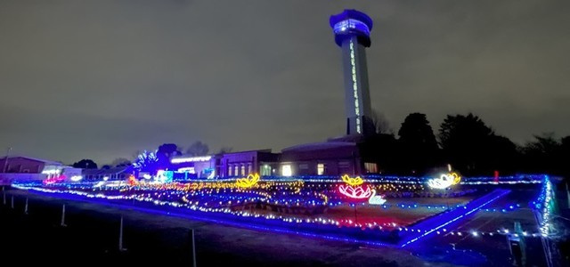 行田市のプレミアムイベント2025開催！おすすめ写真スポットや見どころも紹介の画像