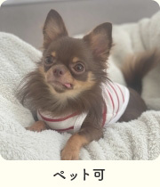ペット可