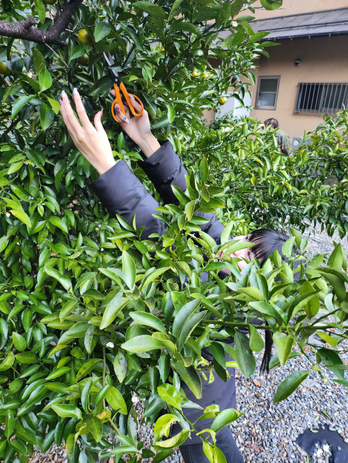 何かを狩りたい気分になりました。の画像