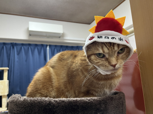 引越し後初めての。。。の画像