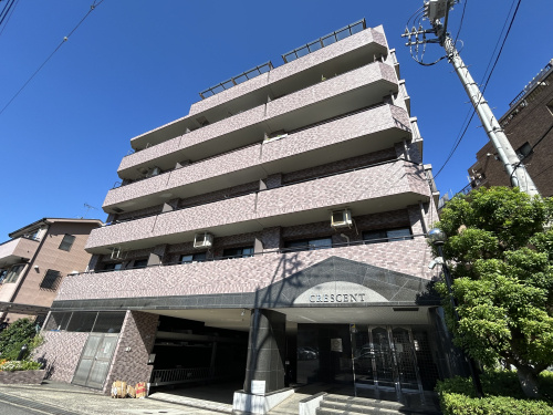 販売期間2か月以内での申し込み！！売買の画像