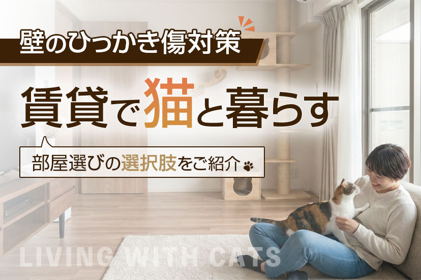 【賃貸で猫と暮らす】壁のひっかき傷対策と部屋選びの選択肢をご紹介の画像