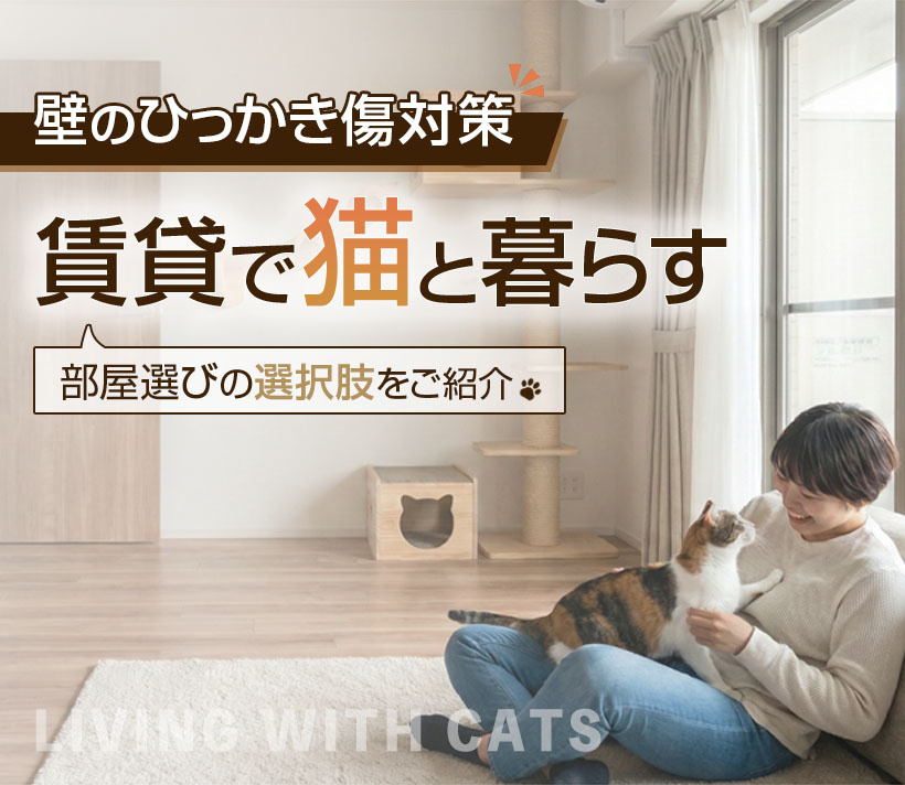 【賃貸で猫と暮らす】壁のひっかき傷対策と部屋選びの選択肢をご紹介