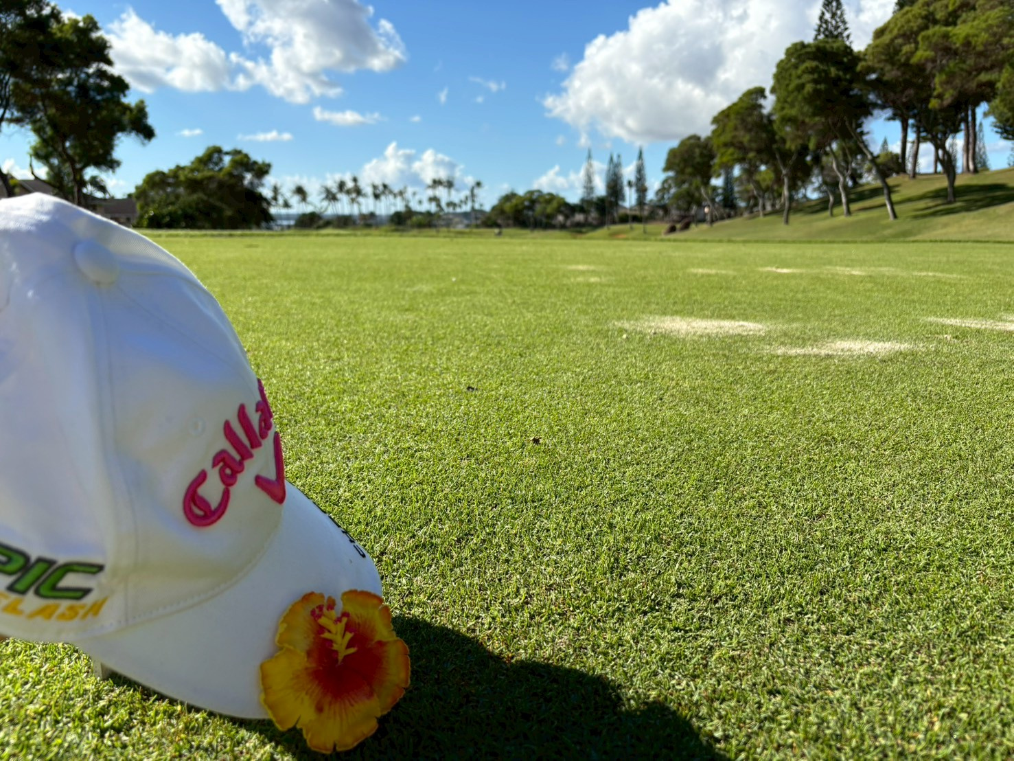 ハワイ旅行記③～enjoy playing golf!～の画像