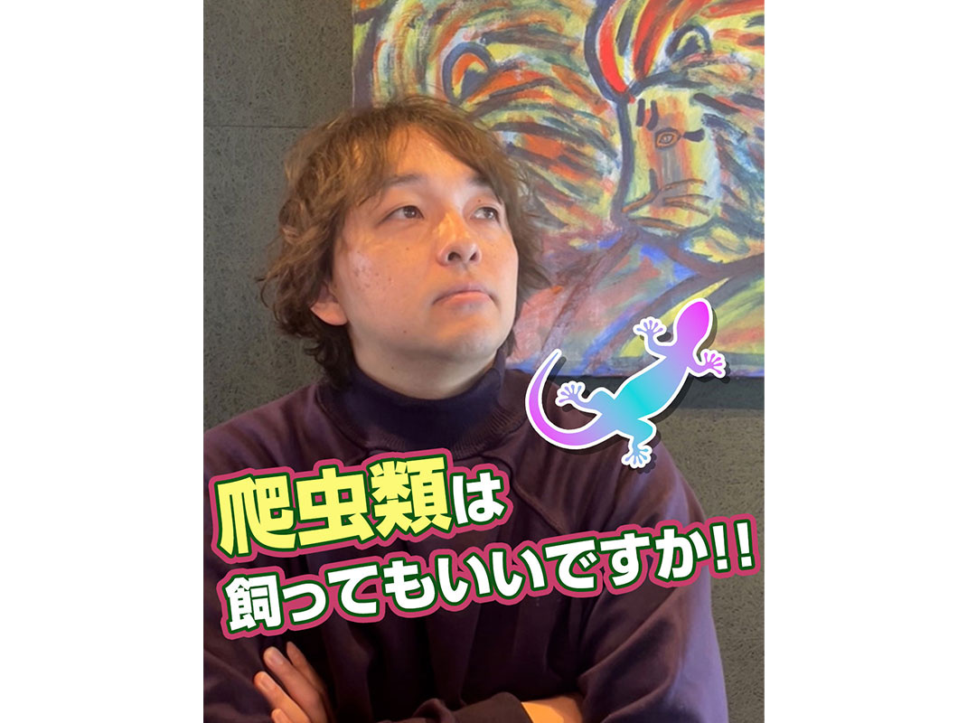 【軽井沢の賃貸経営】爬虫類は飼ってもいいですか！！〜賃貸オーナー様へ〜の画像