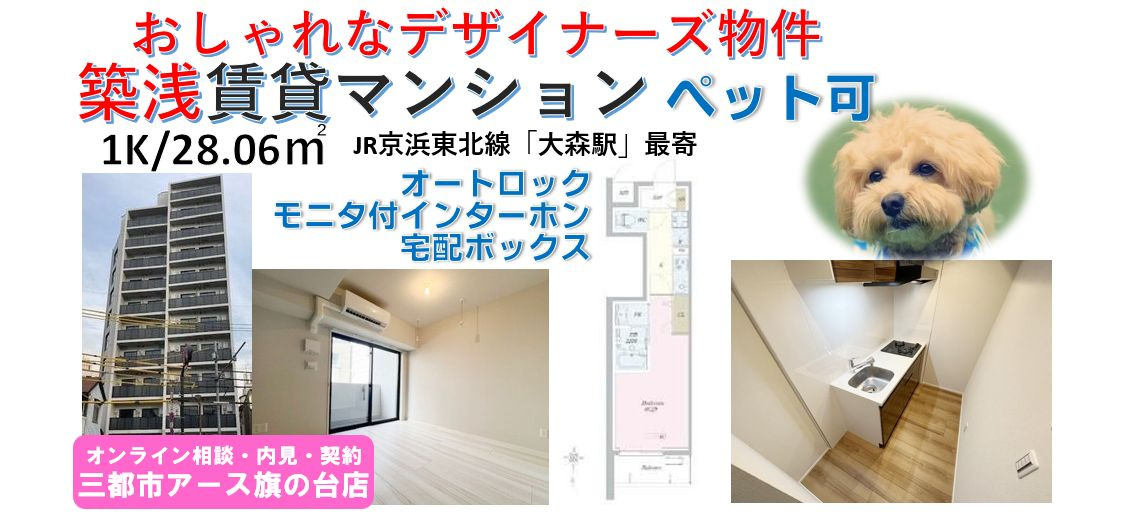 【ロイジェント山王】ペット可・築浅・デザイナーズ物件・1K・JR京浜東北線・大森駅