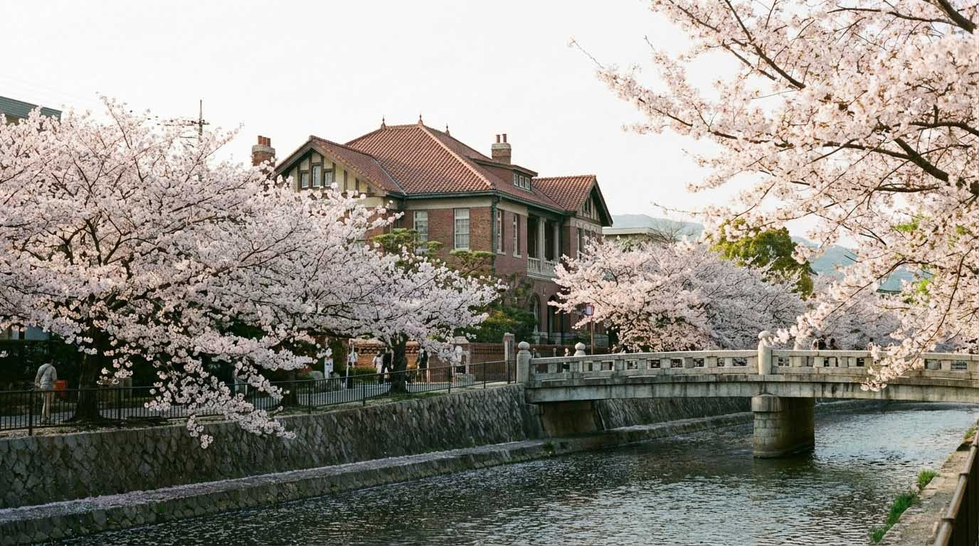 芦屋川沿いの桜並木と、その奥に佇む山手町の重厚な邸宅