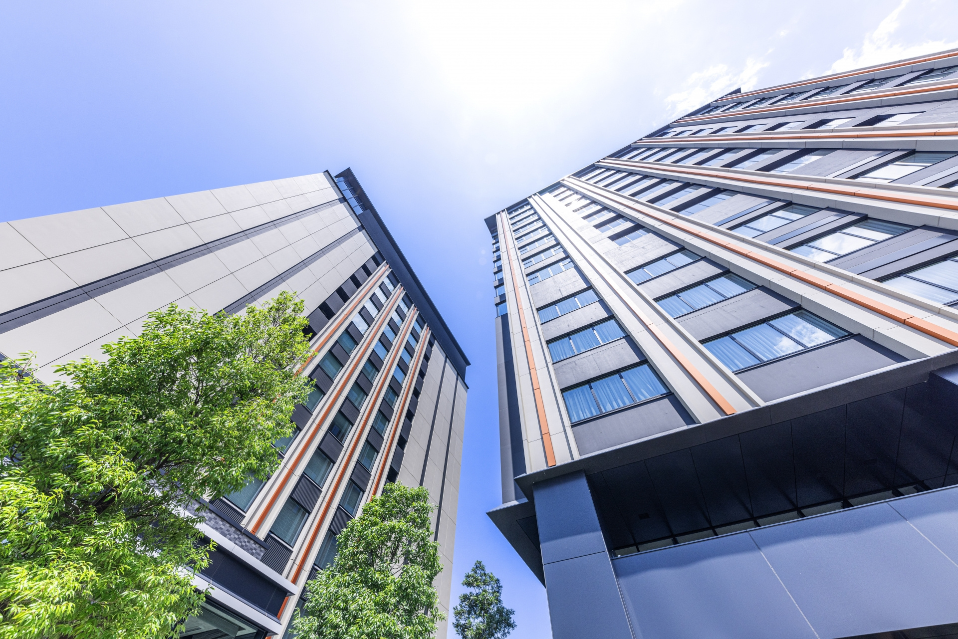 不動産会社の選び方で迷う方へ！大手と地域密着型の違いやメリットデメリットを解説の画像