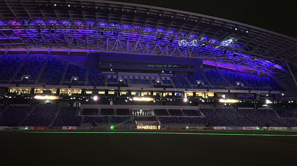 バイオレットクリスマスショーの画像