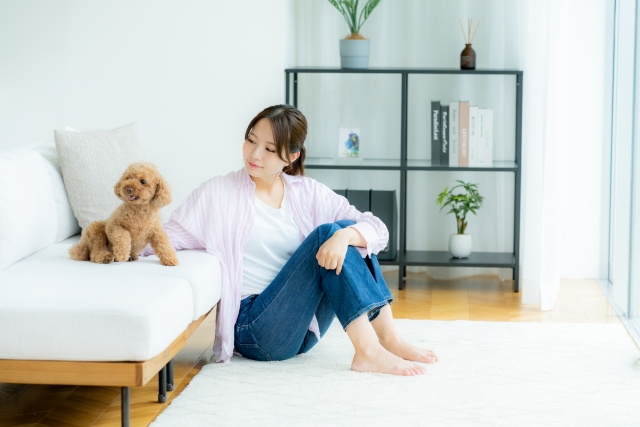 防音対策の実践方法