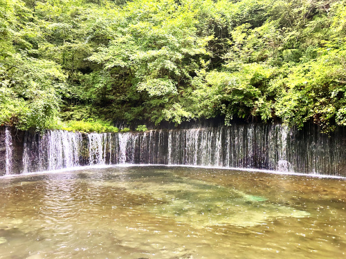 軽井沢の自然を満喫する観光散策コースは？四季を感じるおすすめルートを紹介の画像