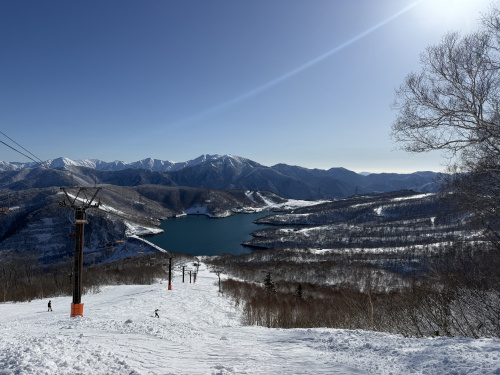 2025年も大変お世話になりました。の画像