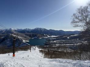 2025年も大変お世話になりました。の画像