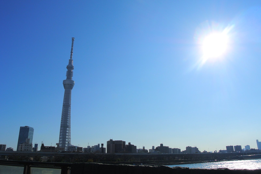 墨田区で住みやすい場所はどこ？エリアごとの特徴を紹介の画像