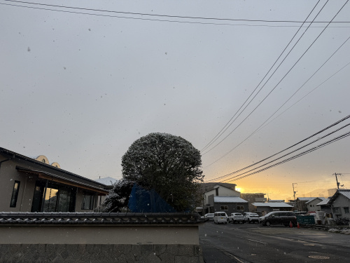 冬らしくなってきました・・・の画像