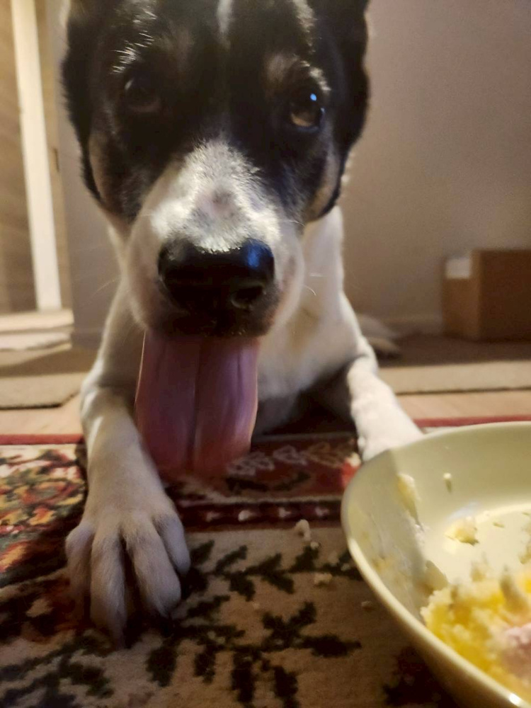 クリスマスなんでの画像