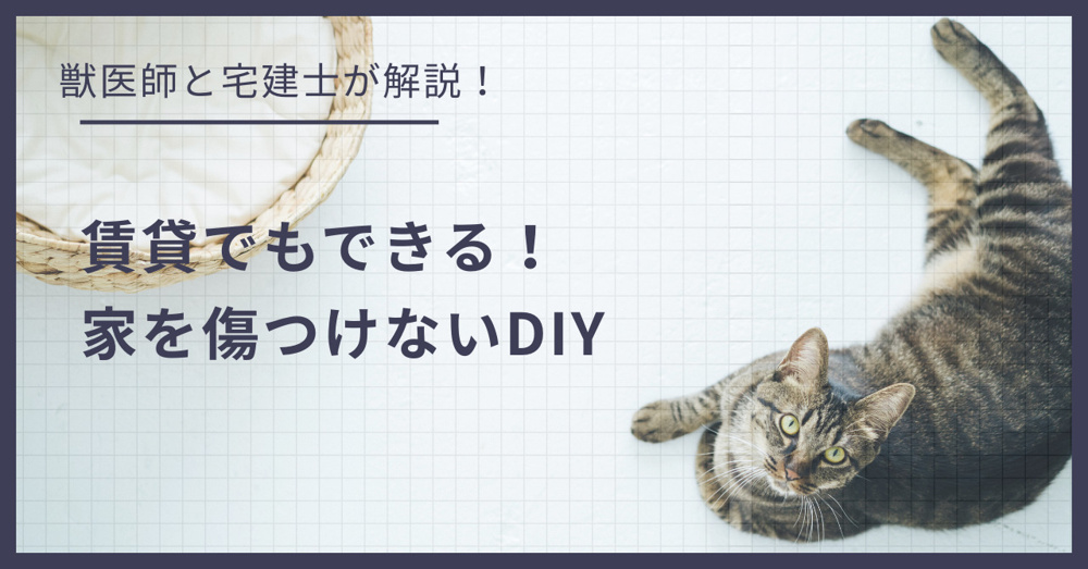 賃貸でもできる！壁・床を傷つけない猫のための最強DIYアイデアの画像