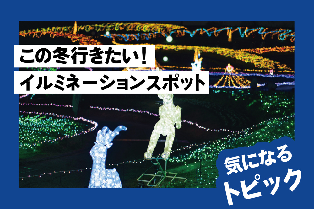 この冬行きたい！奈良県のイルミネーションスポットの画像