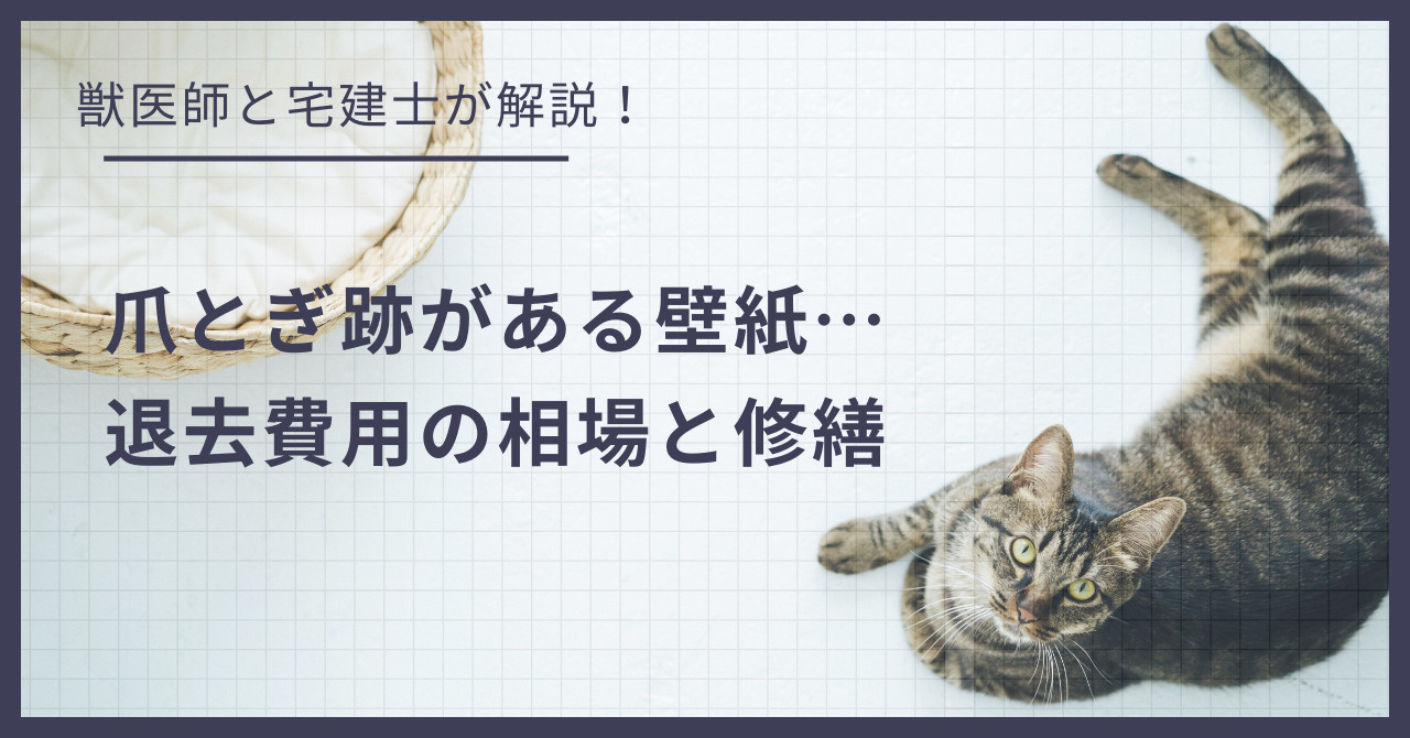 【原状回復】猫の爪研ぎでボロボロの壁紙…退去費用の相場と修繕方法の画像