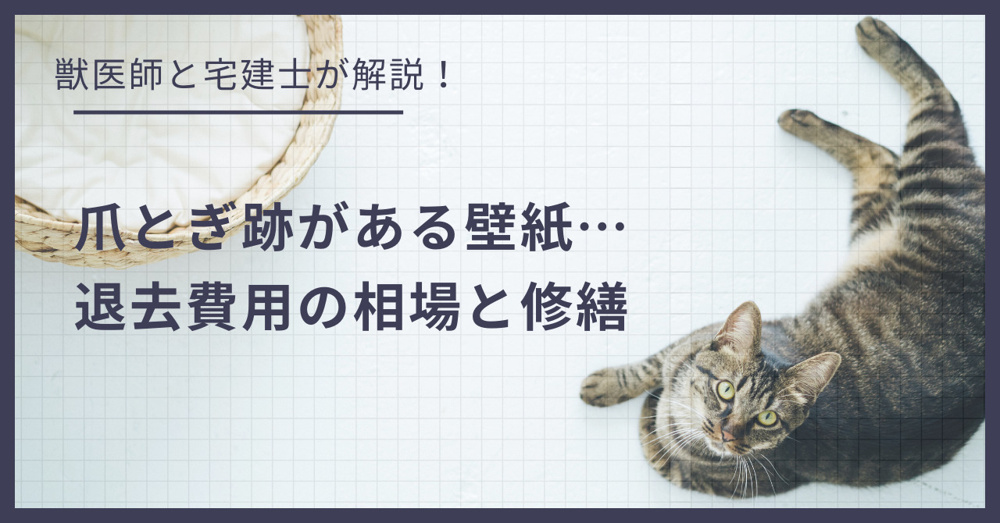 【原状回復】猫の爪研ぎでボロボロの壁紙…退去費用の相場と修繕方法の画像