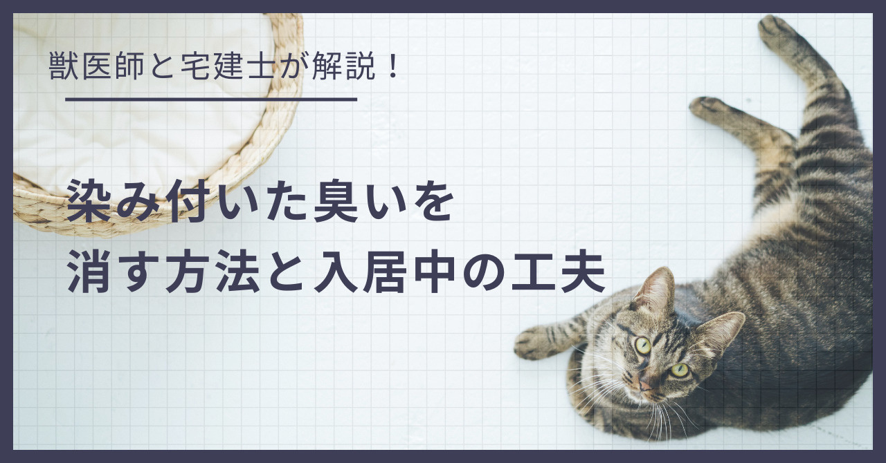 猫のニオイ対策！賃貸で染み付いた臭いを消す方法と入居中の工夫の画像
