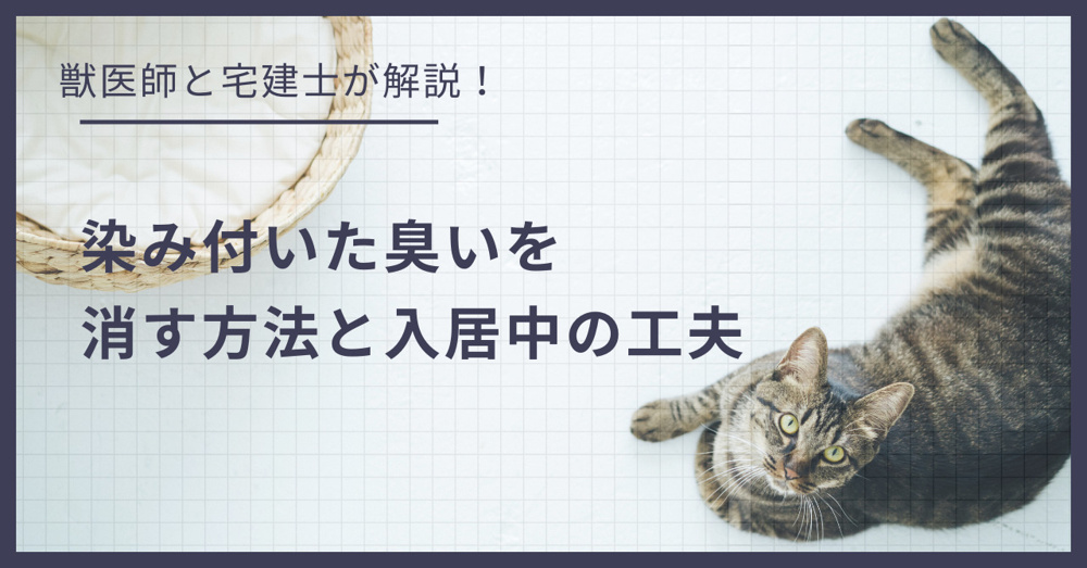 猫のニオイ対策！賃貸で染み付いた臭いを消す方法と入居中の工夫の画像
