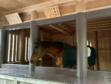 謹賀新年_丙午のご挨拶の画像