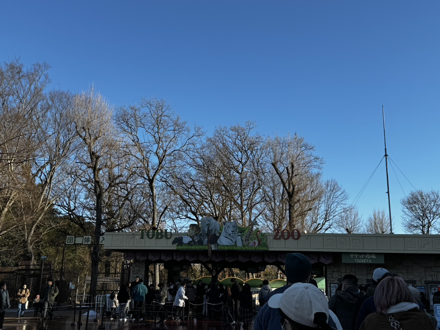 東武動物公園へ行ってきました！の画像