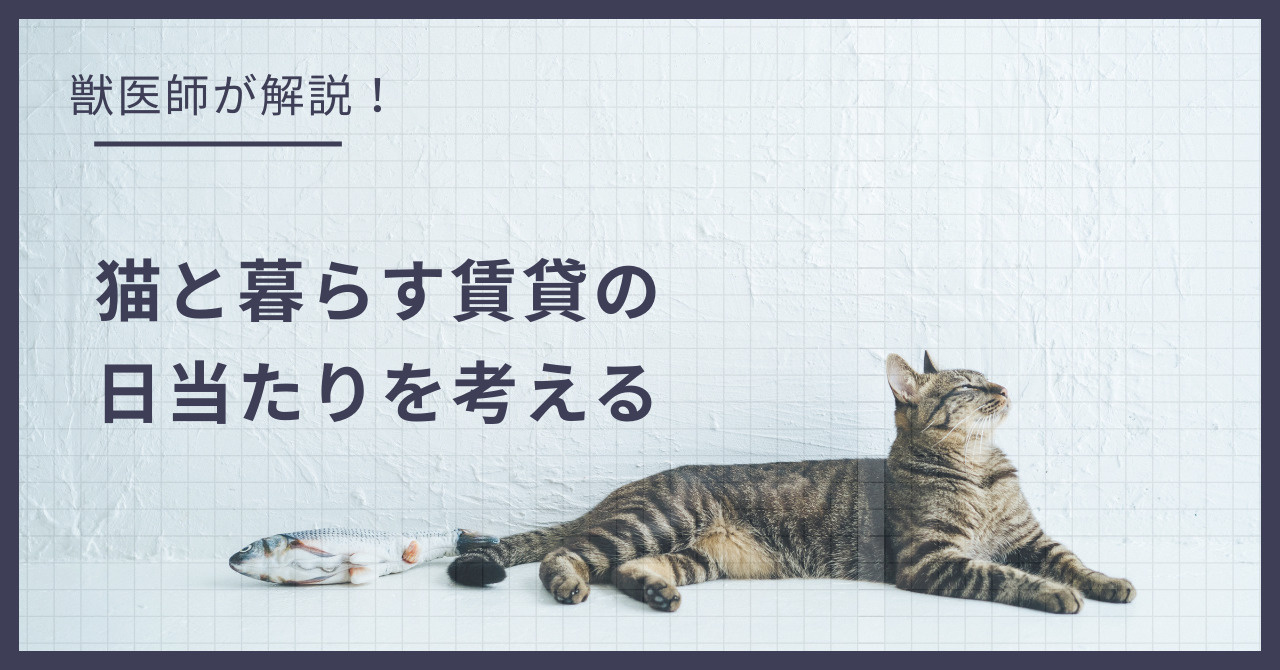 猫と暮らす賃貸の『日当たり』問題！学術的に見る日光浴の重要性と物件選びの画像