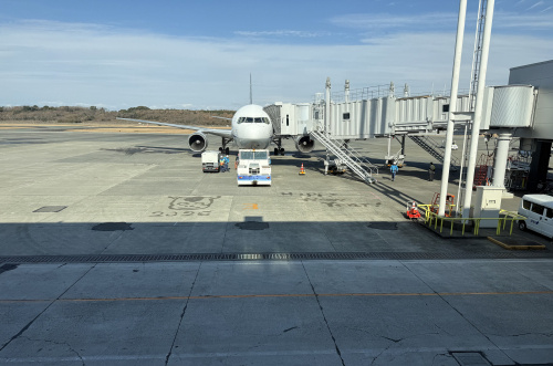 新たなスタートを感じた、空港の馬どしアートの画像