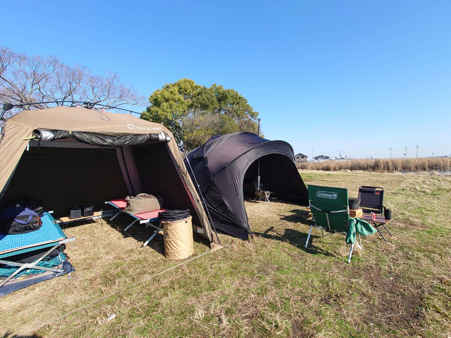 本年もよろしくお願いいたしますの画像