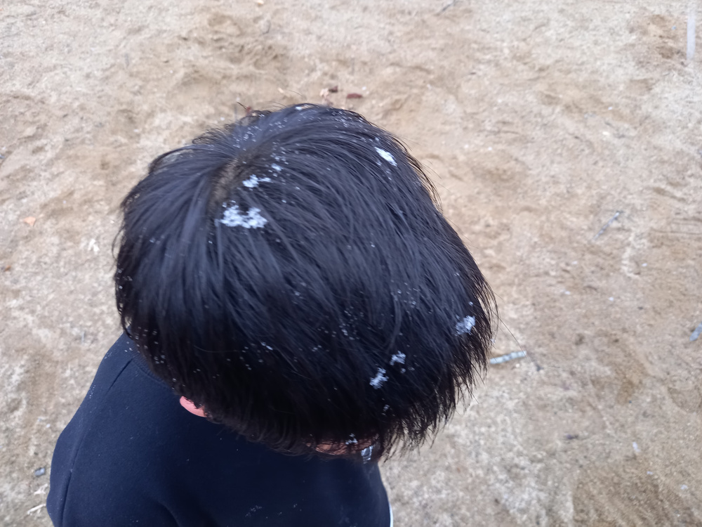 2026年が始まりました！の画像