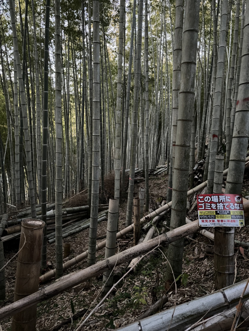 熊本市南区の浸水リスクが低い地域はどこ？住宅購入時のチェックポイントも紹介の画像