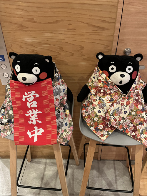 熊本市で人気エリアを探す方必見！治安ランキングと希少性の選び方をご紹介の画像