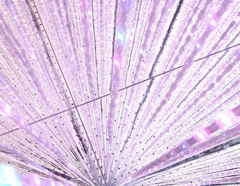 チームラボプラネッツ：身体ごと没入する水辺のアートの画像